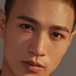 Wenjun Li
