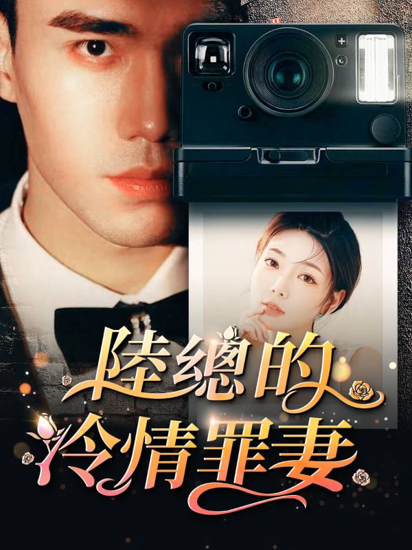 陸總的冷情罪妻