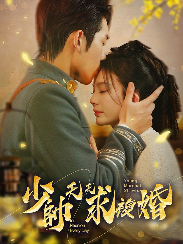 少帥天天求複婚