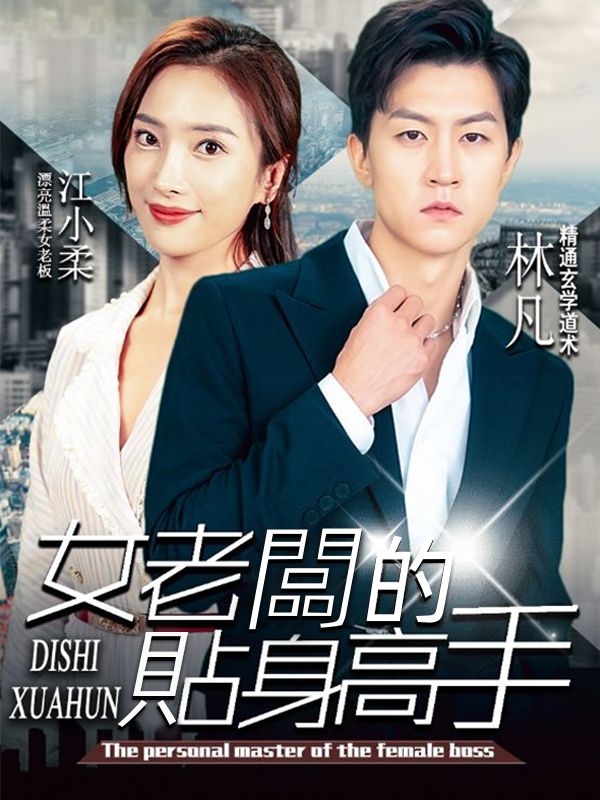 女老闆的貼身高手 poster