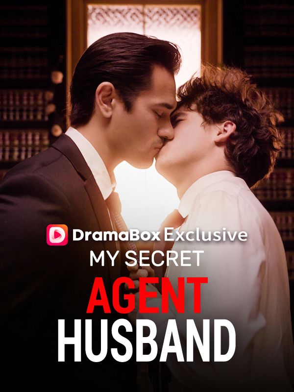 My Secret Agent Husband