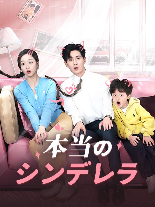 本当のシンデレラ poster