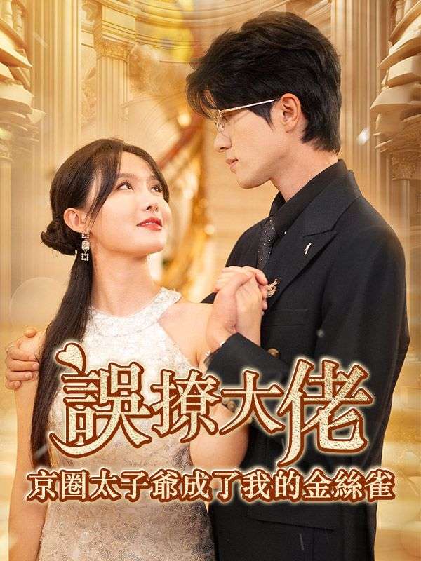 誤撩大佬，京圈太子爺成了我的金絲雀