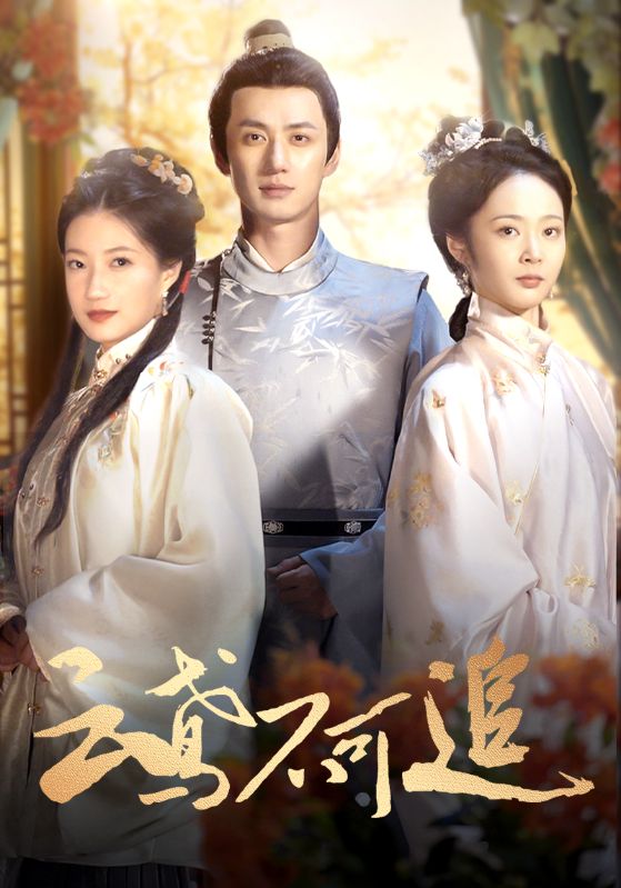 Poster 云鸢不可追
