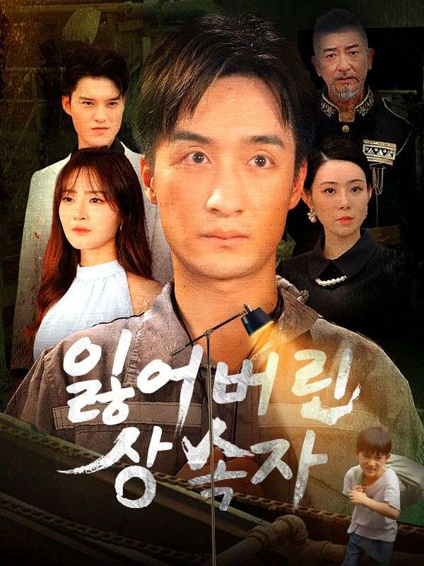 잃어버린 상속자(더빙)