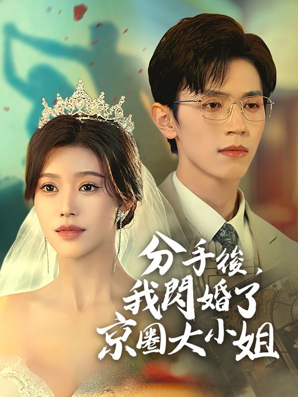 分手後，我閃婚了京圈大小姐