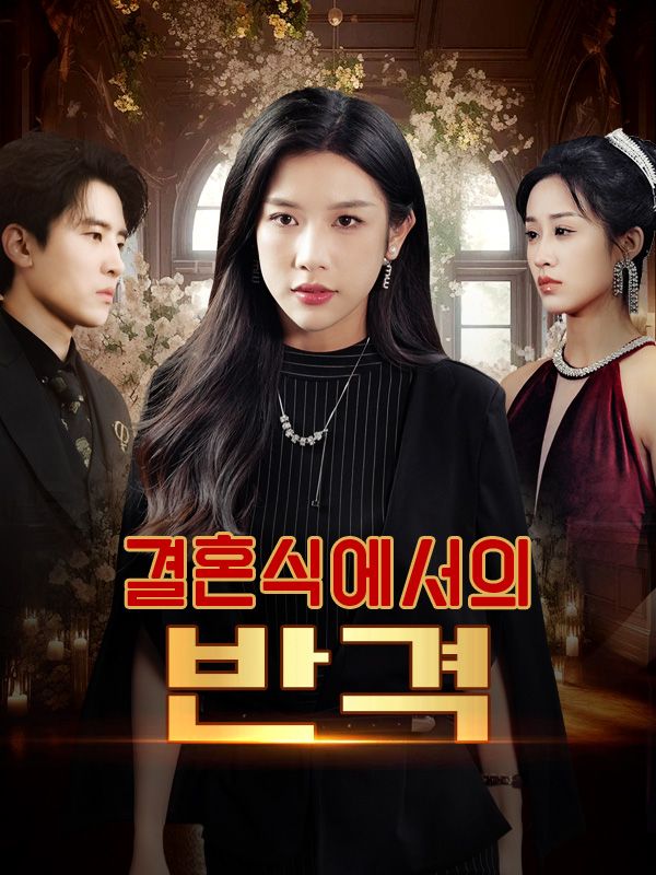 결혼식에서의 반격 poster
