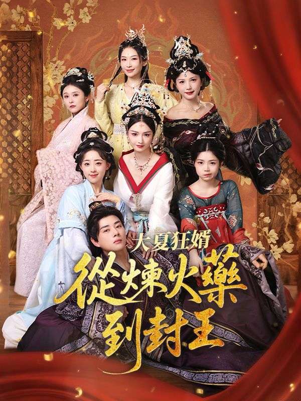 大夏狂婿：從煉火藥到封王 poster