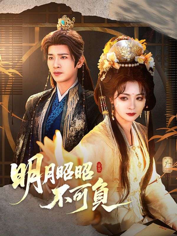 明月昭昭不可負