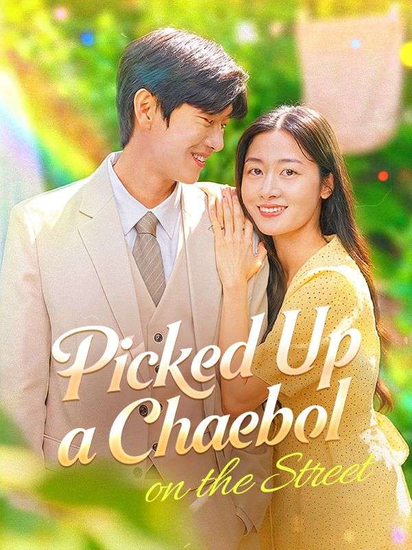 Picked Up a Chaebol on the Street