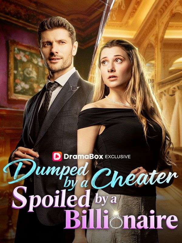 Dumped by a Cheater, Spoiled by a Billionaire