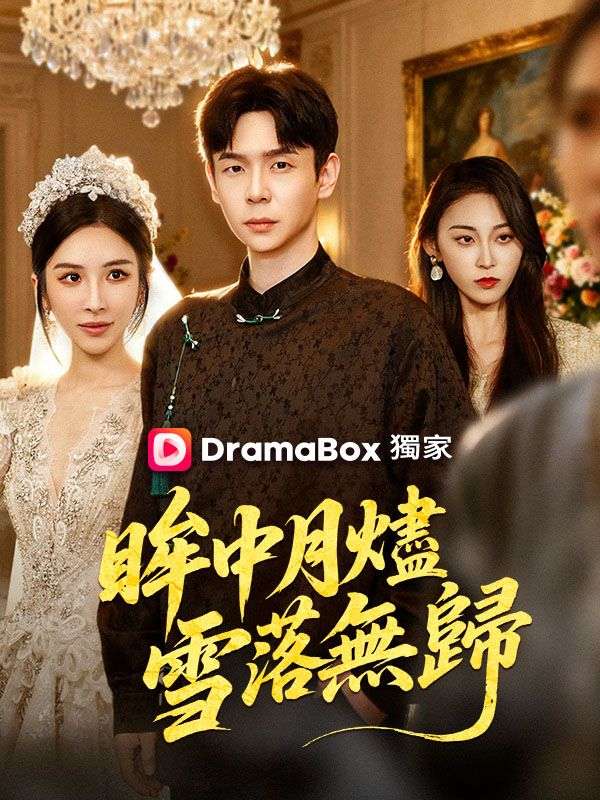 眸中月燼，雪落無歸