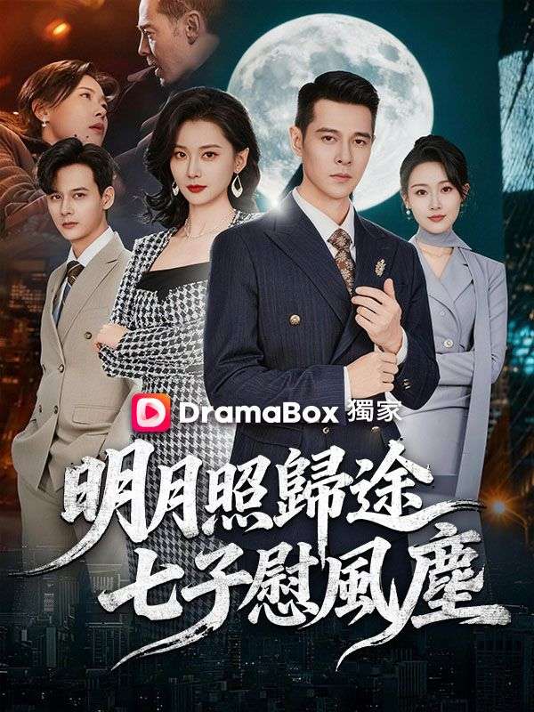 明月照歸途，七子慰風塵