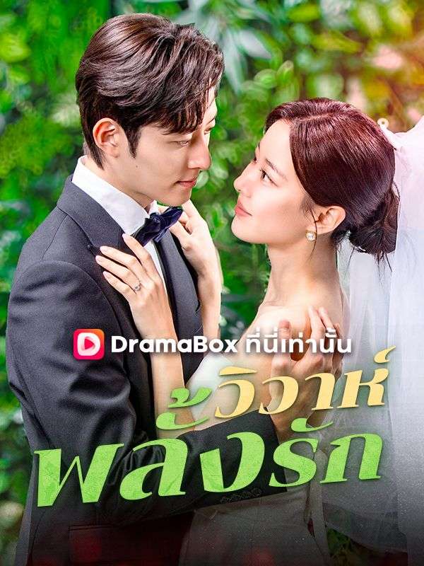 วิวาห์พลั้งรัก(พากย์ไทย)