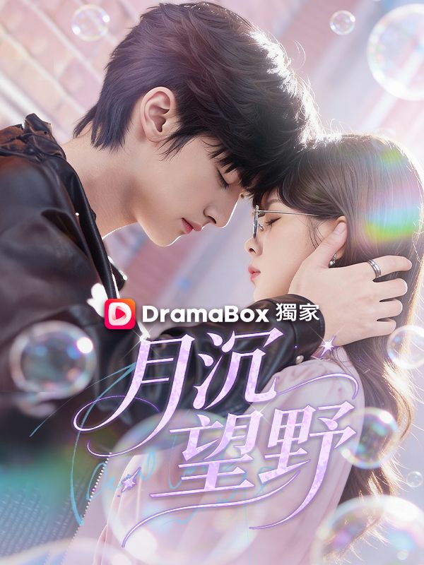 月沉望野