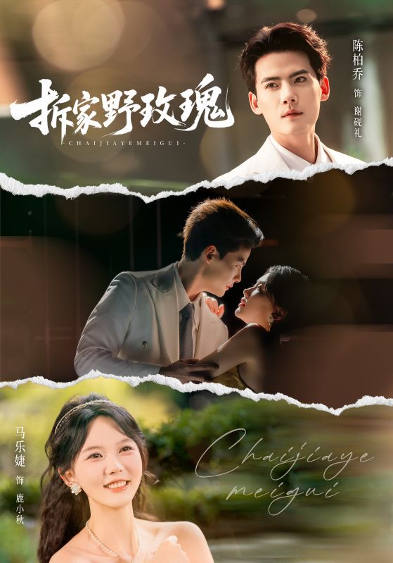 野玫瑰契約：謝總請按劇本演