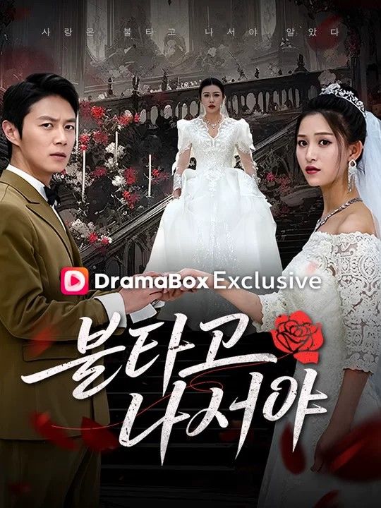 불타고 나서야(더빙) poster