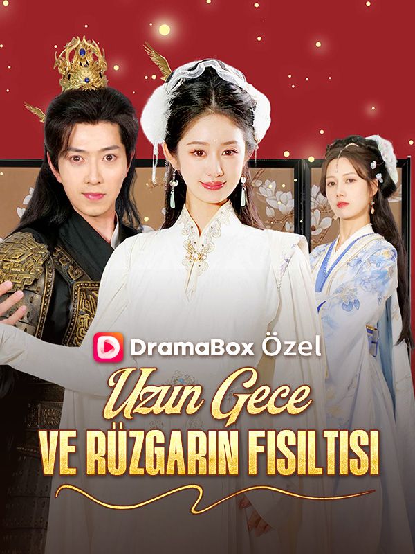 Uzun Gece ve Rüzgarın Fısıltısı poster