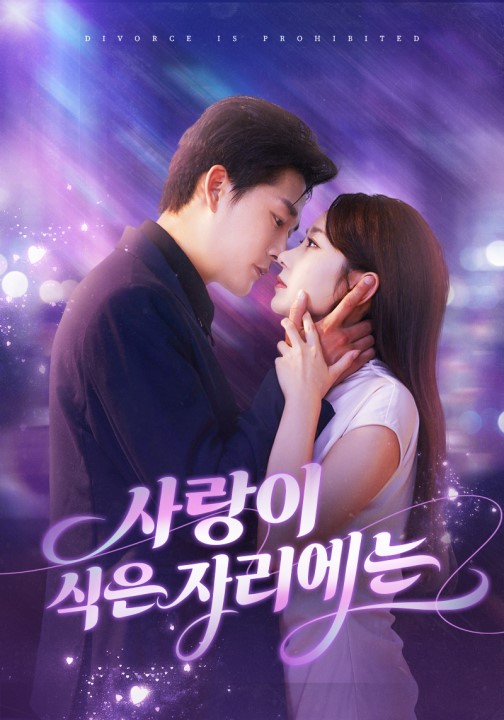사랑이 식은 자리에는(더빙) poster