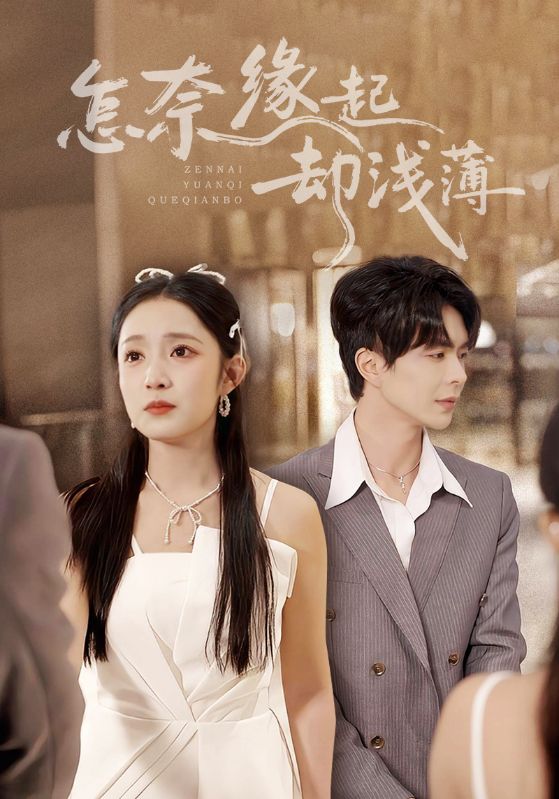 Poster 怎奈缘起却浅薄