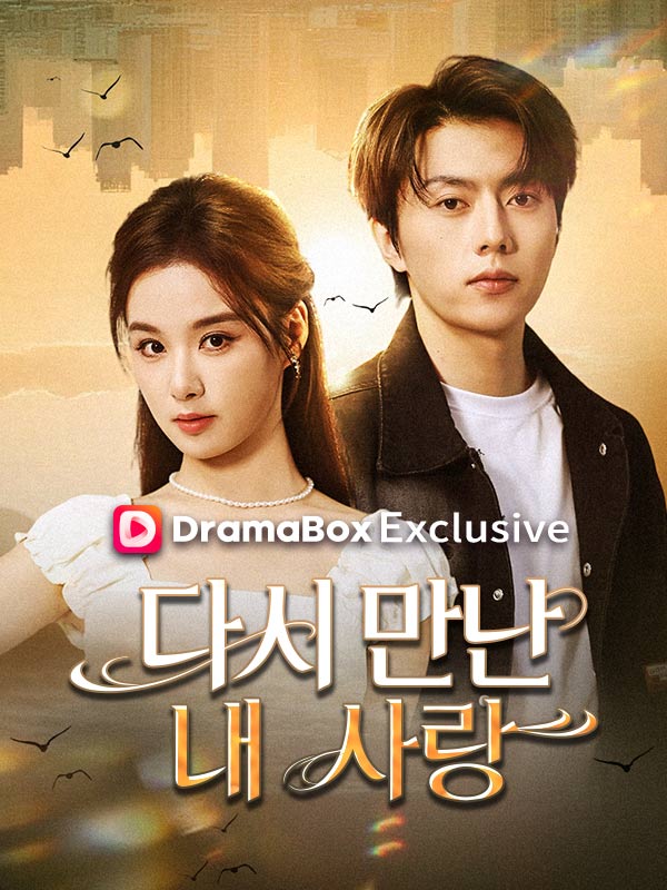 다시 만난 내 사랑 poster