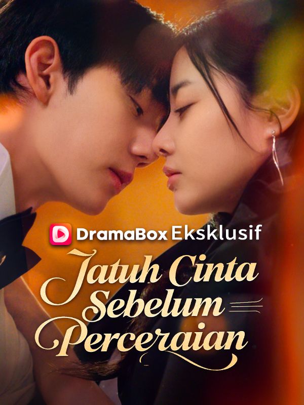 Jatuh Cinta Sebelum Perceraian poster