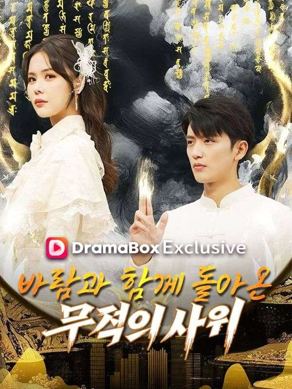 바람과 함께 돌아온 무적의 사위(더빙) poster