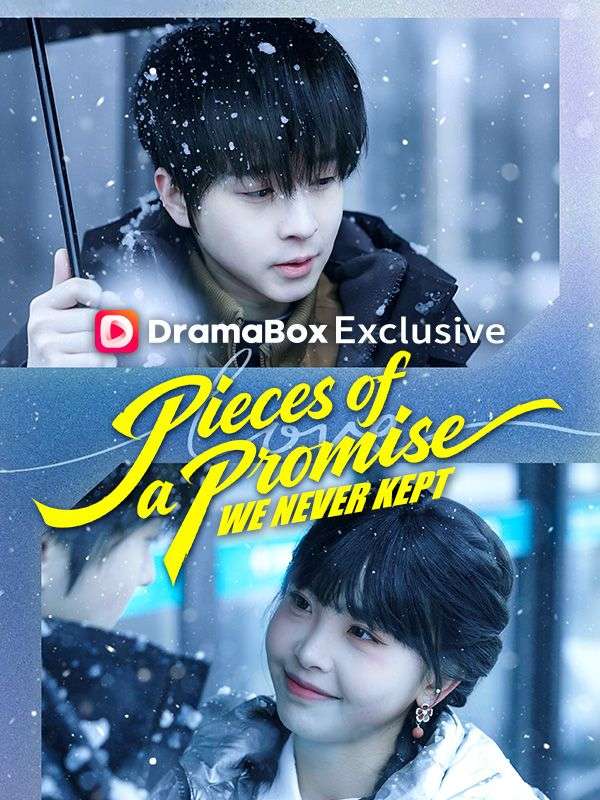 Pieces of a Promise We Never Kept