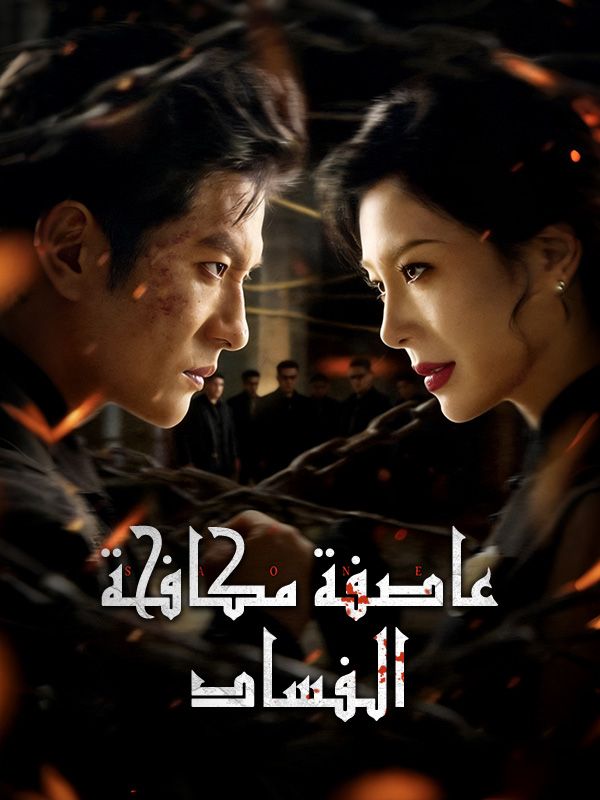 عاصفة مكافحة الفساد poster