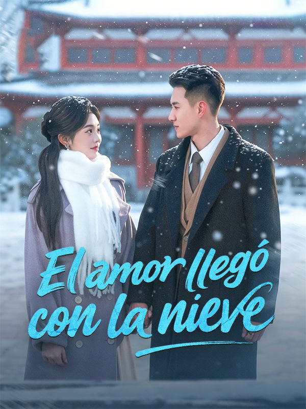 El amor llegó con la nieve poster