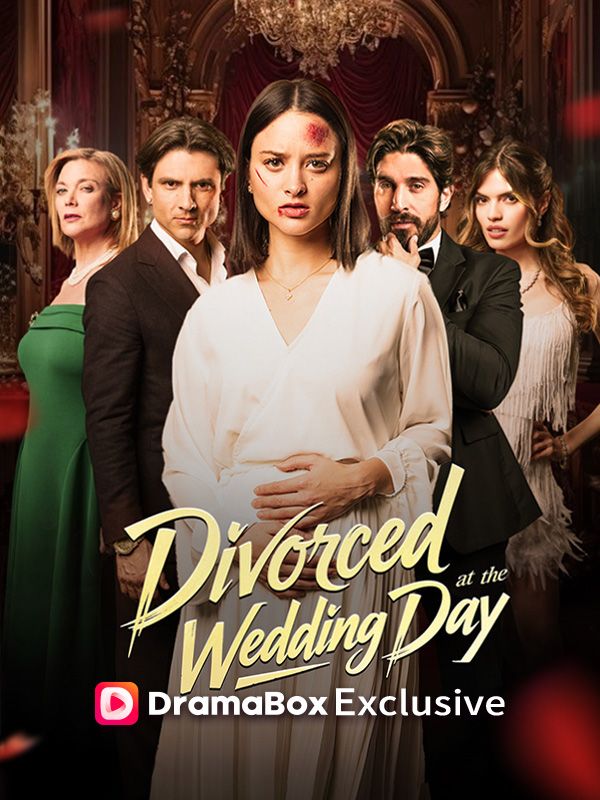 Divorced At the Wedding Day