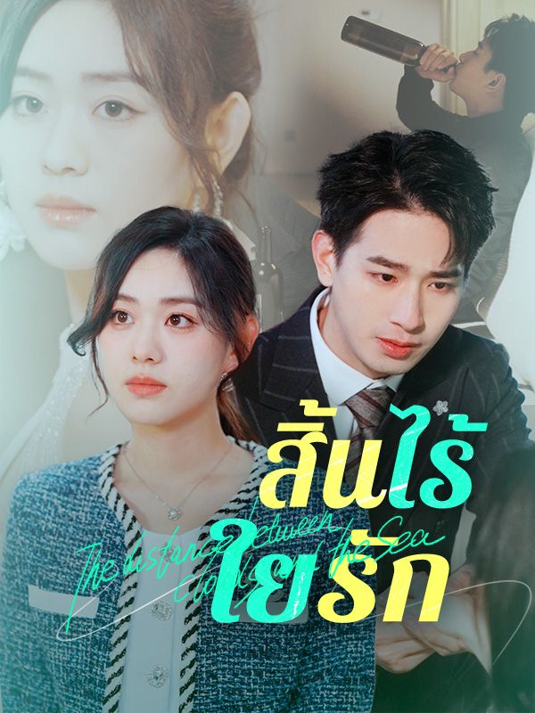 สิ้นไร้ใยรัก poster