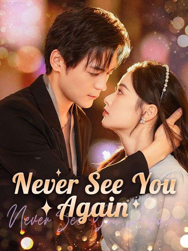 Never See You Again (DUBBED)	