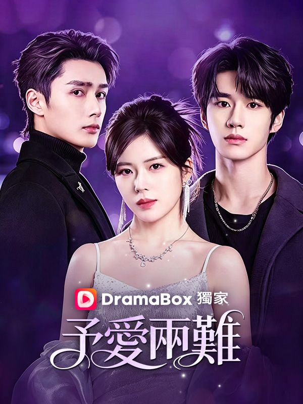 予愛兩難 poster