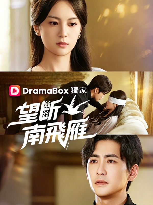 望斷南飛雁 poster