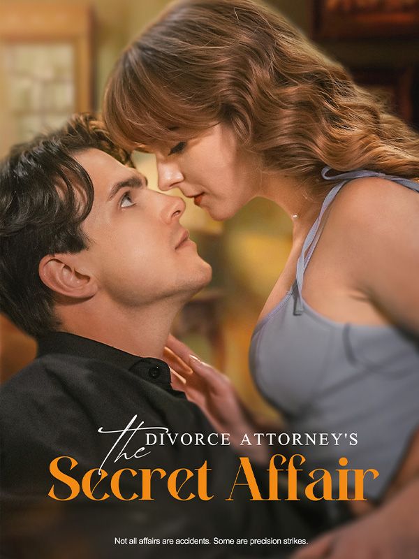 The Divorce Attorney's Secret Affair poster