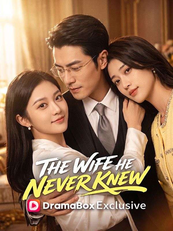 The Wife He Never Knew