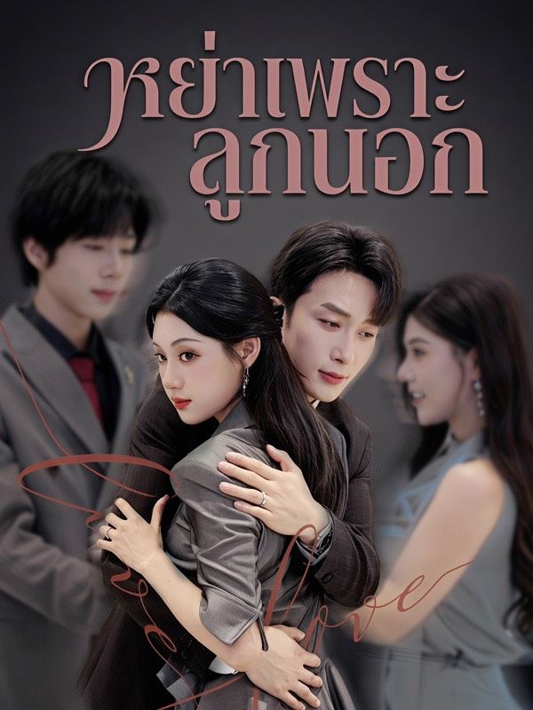 Chinese Drama หย่าเพราะลูกนอก with subtitles - poster