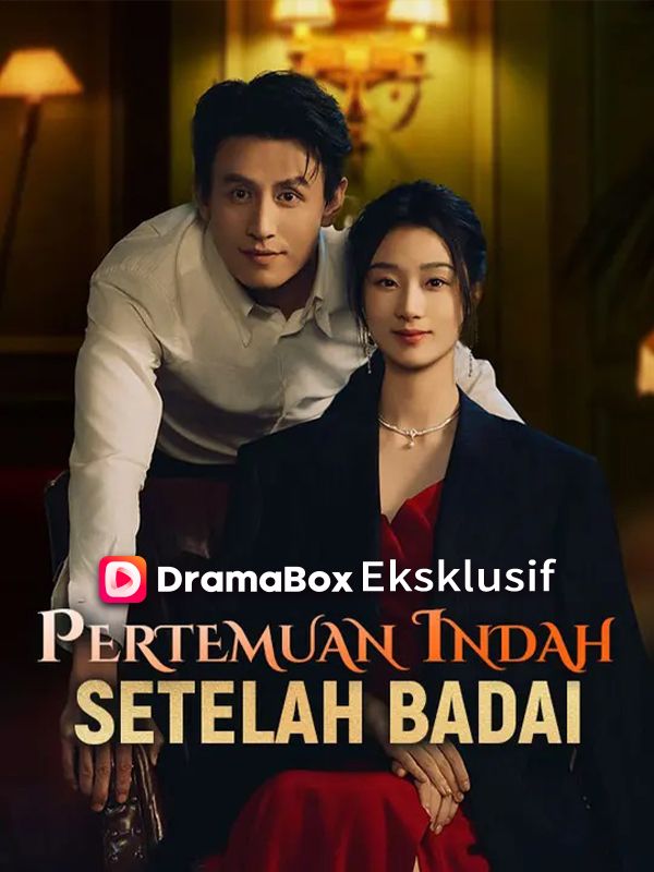 Pertemuan Indah Setelah Badai (Sulih Suara) poster