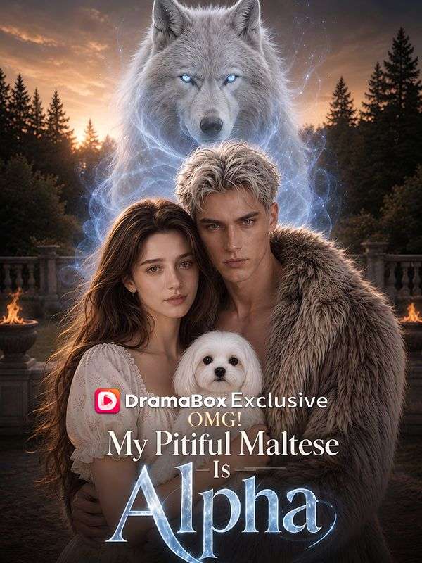 OMG! My Pitiful Maltese Is Alpha