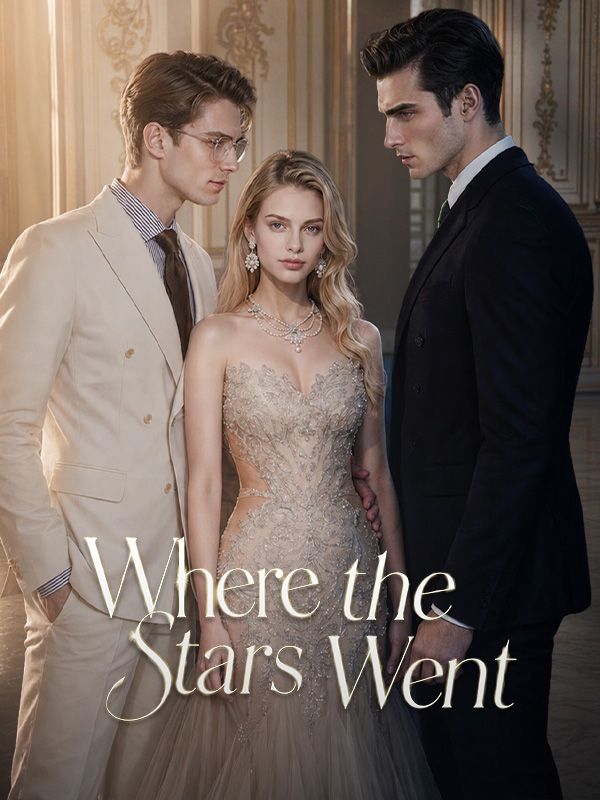 Where the Stars Went poster