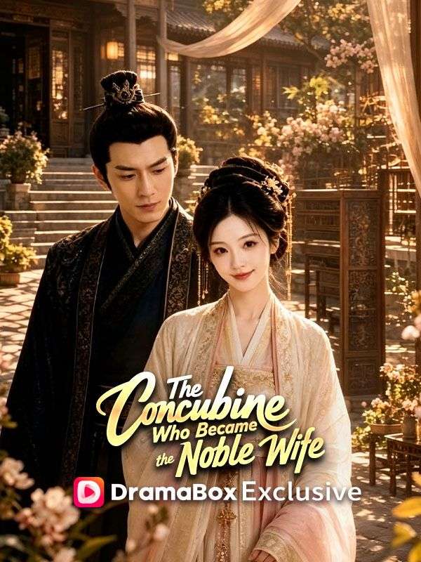 The Concubine Who Became the Noble Wife poster