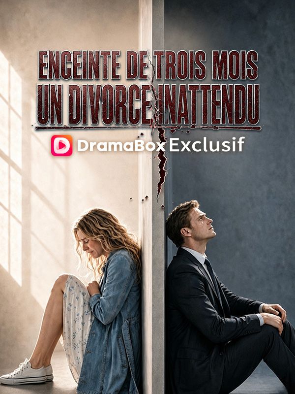 Enceinte de Trois Mois, un Divorce Inattendu (Doublé) 