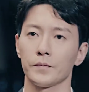 Han Qi
