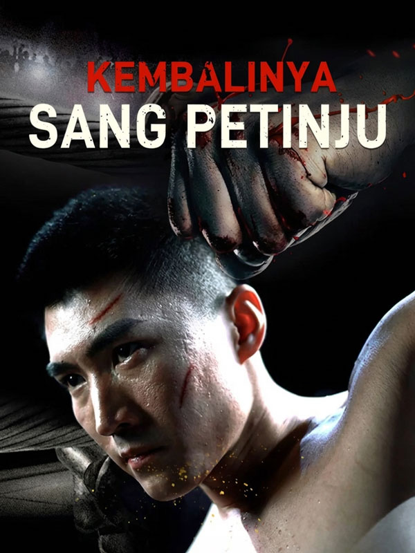Kembalinya Sang Petinju